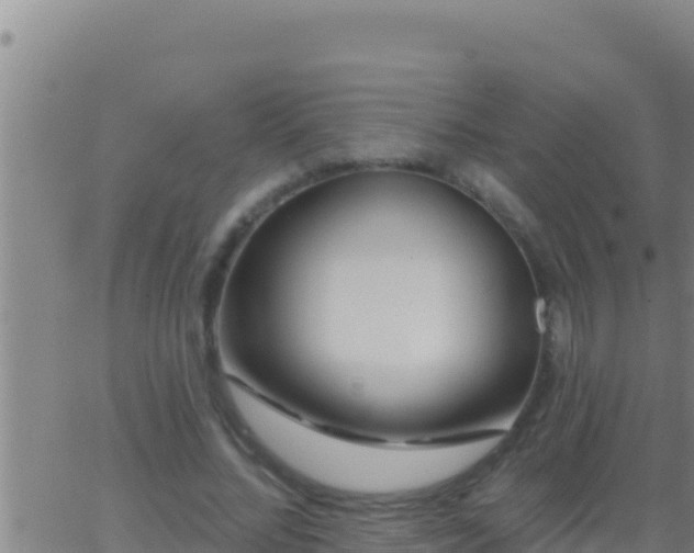 X0000062910684200601201937