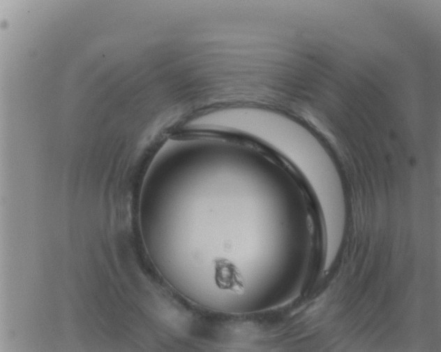 X0000062910685200601201937