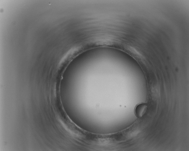 X0000062910686200601201937