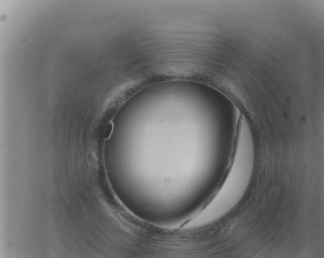 X0000062910688200601201937