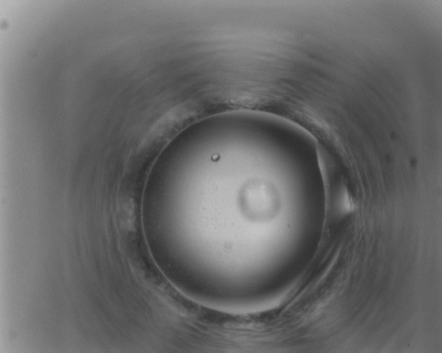 X0000062910689200601201937