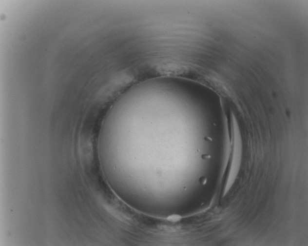 X0000062910690200601201937