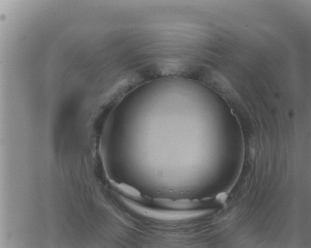 X0000062910691200601201937