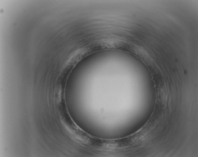 X0000062910694200601201937