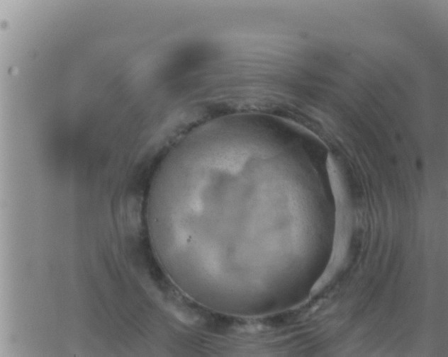 X0000062910695200601201937