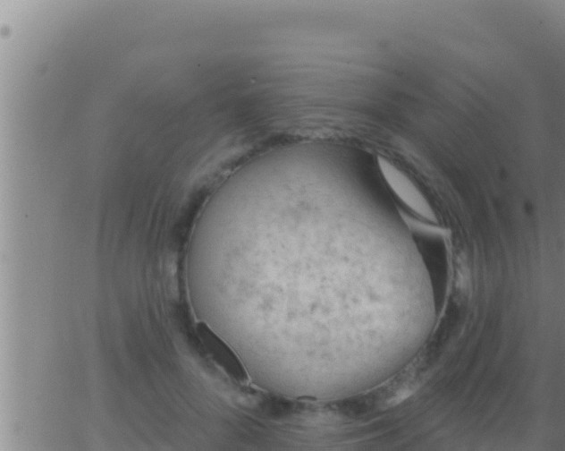 X0000062910696200601201936