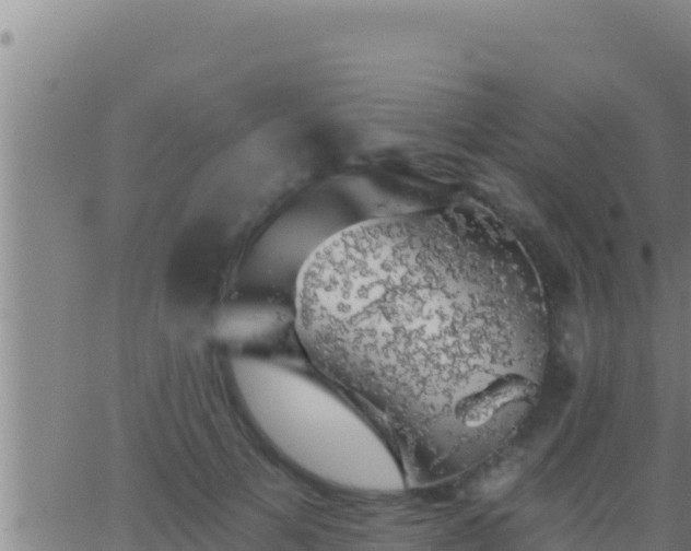 X0000062910697200601201936