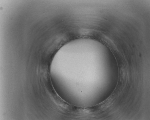 X0000062910698200601201936