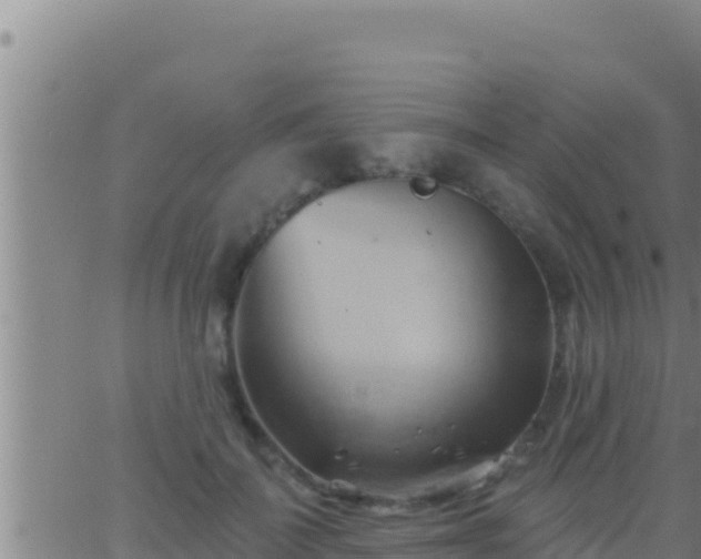 X0000062910699200601201936