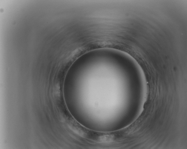 X0000062910700200601201936