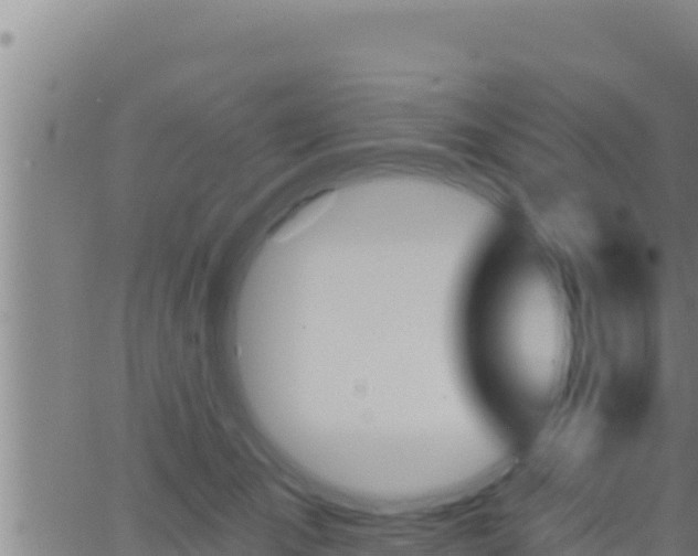 X0000062910701200601201936