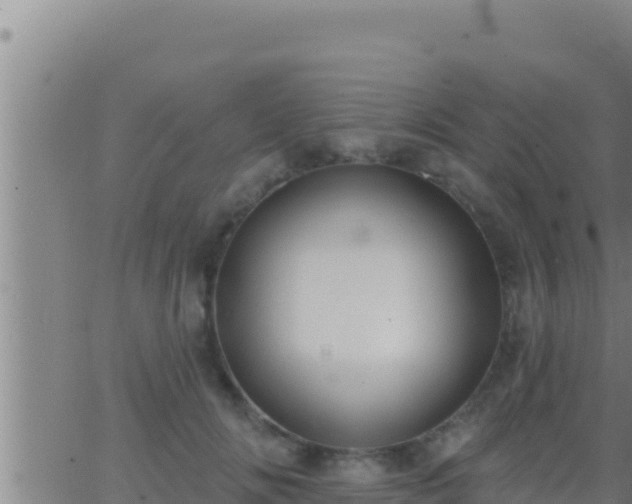 X0000062910702200601201936