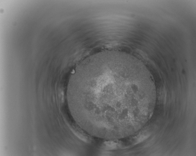 X0000062910703200601201936