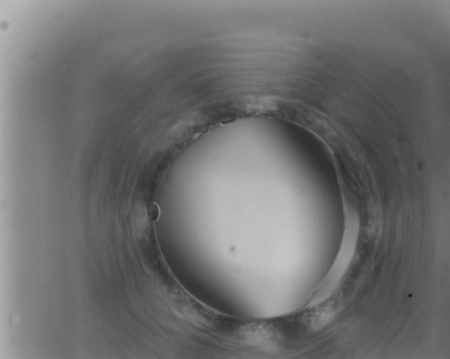 X0000062910704200601201936