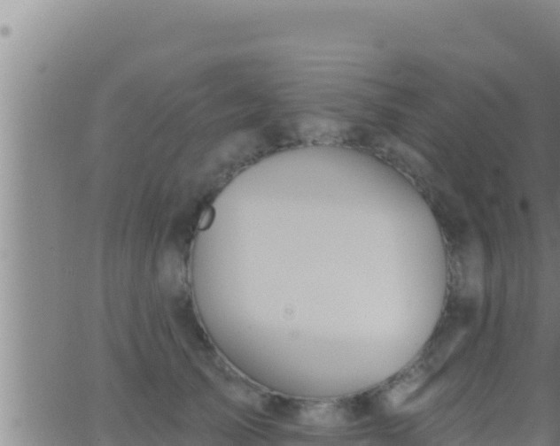 X0000062910705200601201936