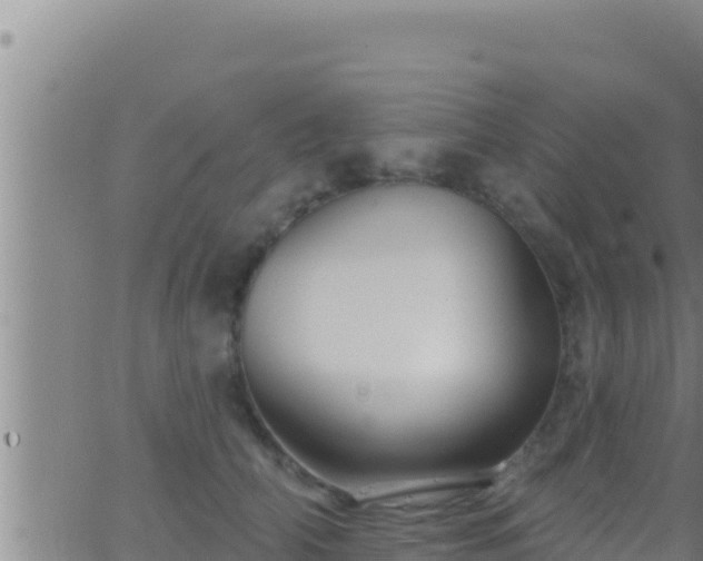 X0000062910706200601201936