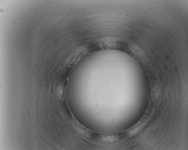 X0000062910709200601201936