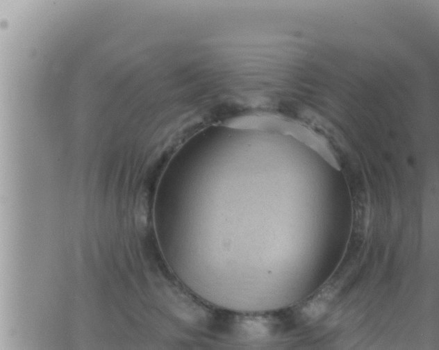 X0000062910710200601201936