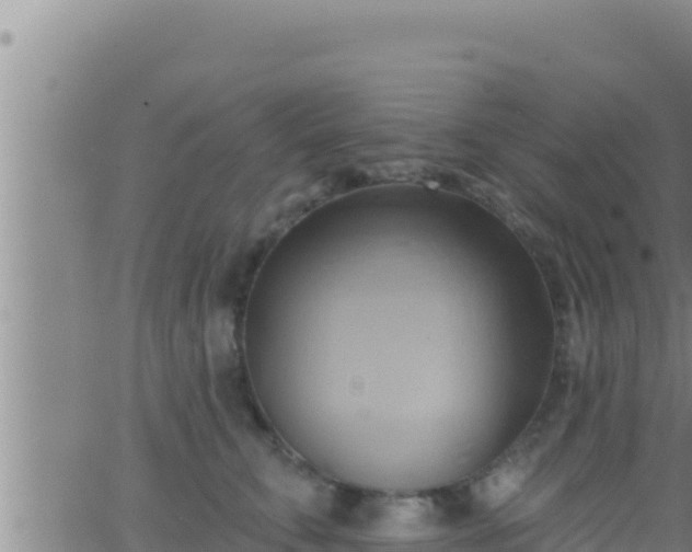 X0000062910711200601201936