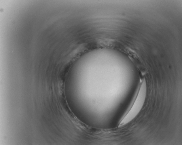 X0000062910712200601201936