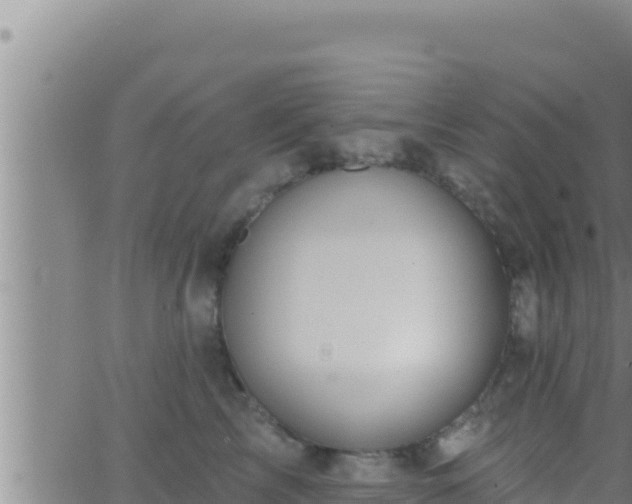 X0000062910713200601201936