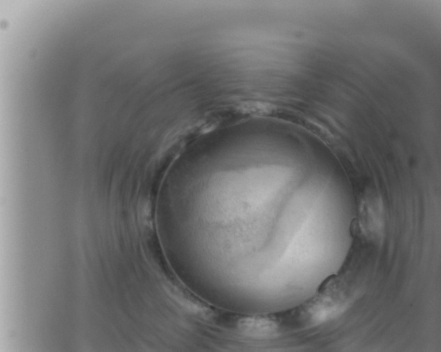 X0000062910714200601201936