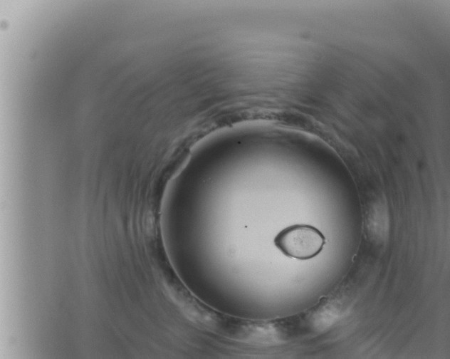 X0000062910715200601201936