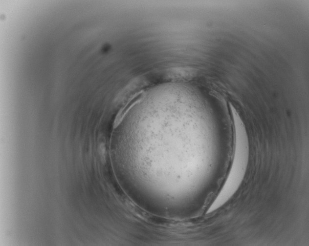 X0000062910716200601201936