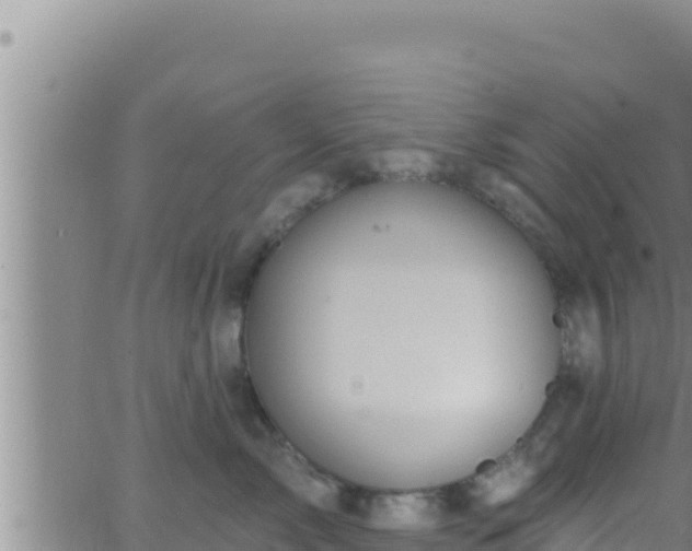 X0000062910717200601201936