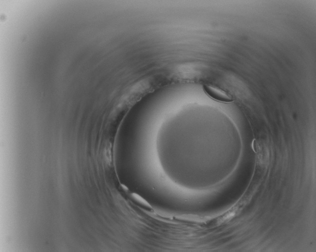 X0000062910718200601201936