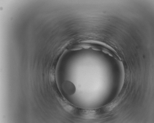 X0000062910719200601201936