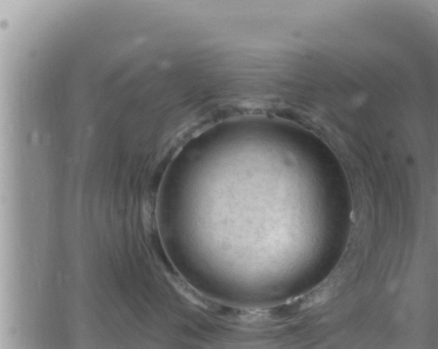 X0000062910720200601201936