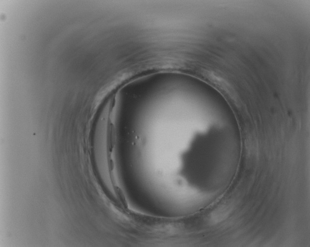 X0000062910721200601201935