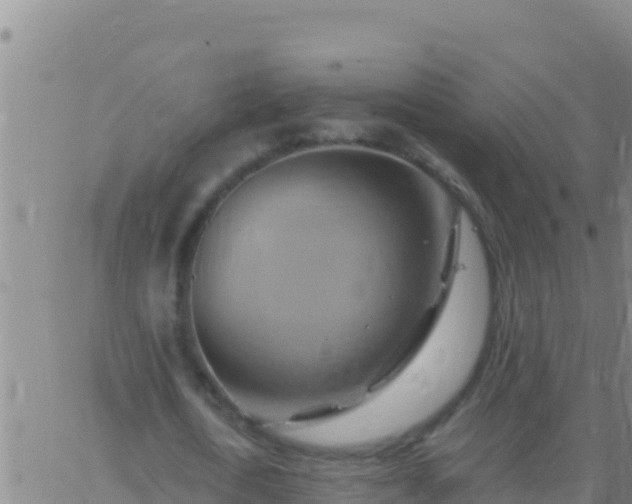 X0000062910722200601201935