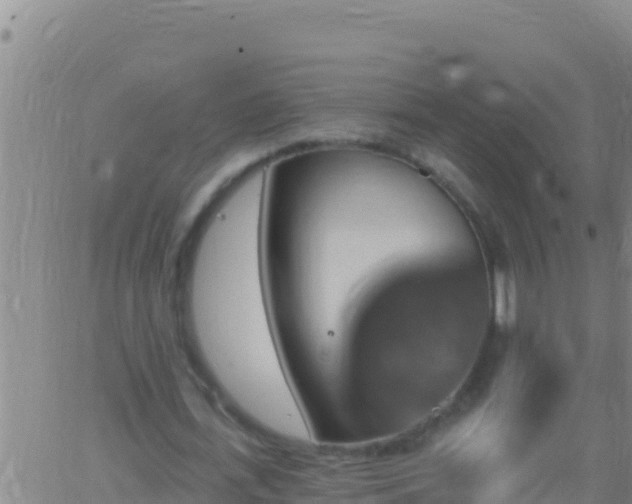 X0000062910723200601201935