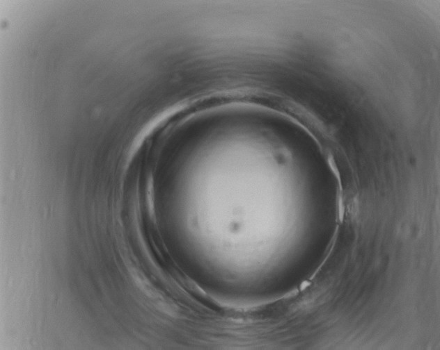 X0000062910724200601201935