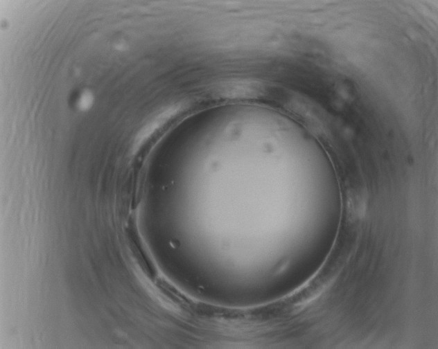 X0000062910725200601201935