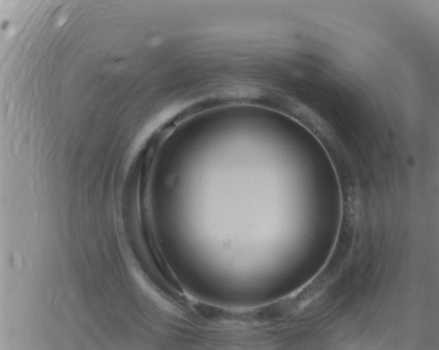 X0000062910726200601201935