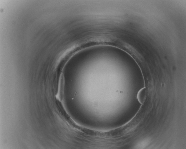 X0000062910727200601201935