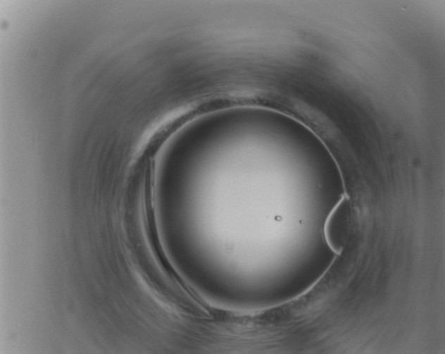 X0000062910728200601201935