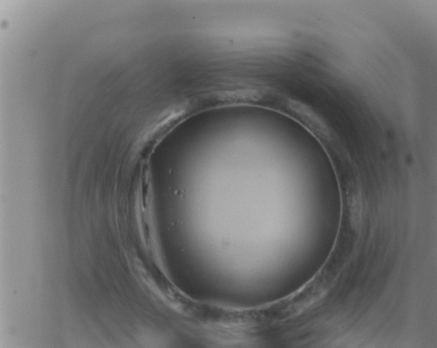 X0000062910729200601201935