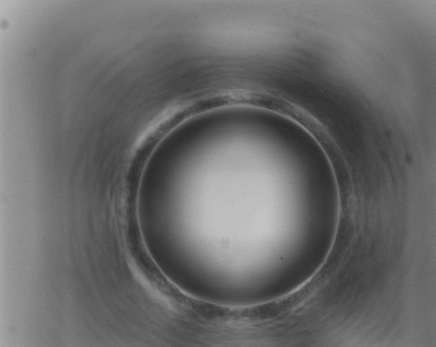 X0000062910730200601201935