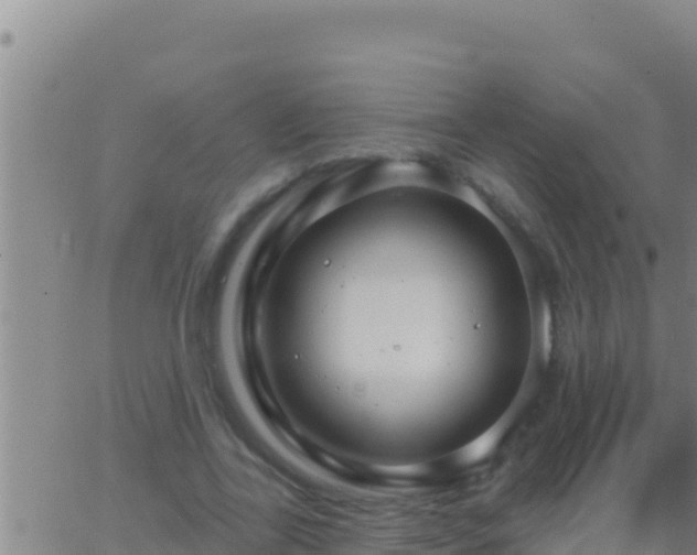 X0000062910731200601201935