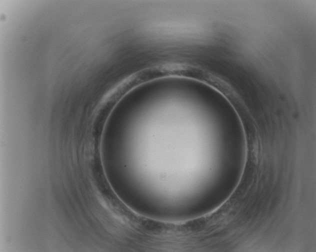 X0000062910732200601201935