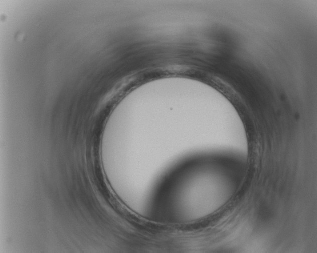 X0000062910734200601201936