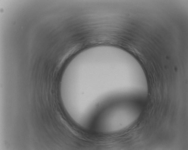 X0000062910735200601201936