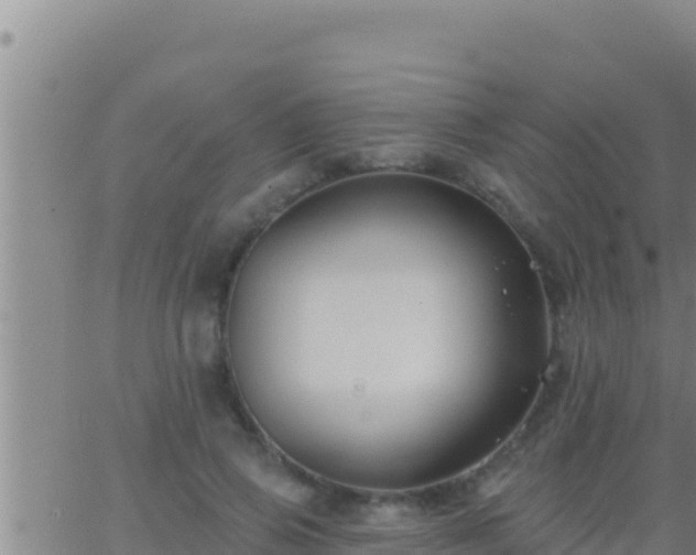 X0000062910741200601201936