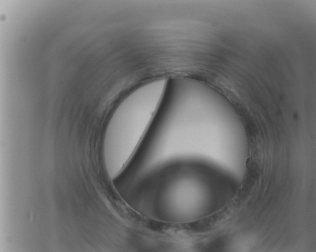 X0000062910742200601201936