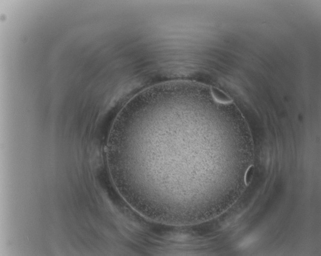 X0000062910743200601201936