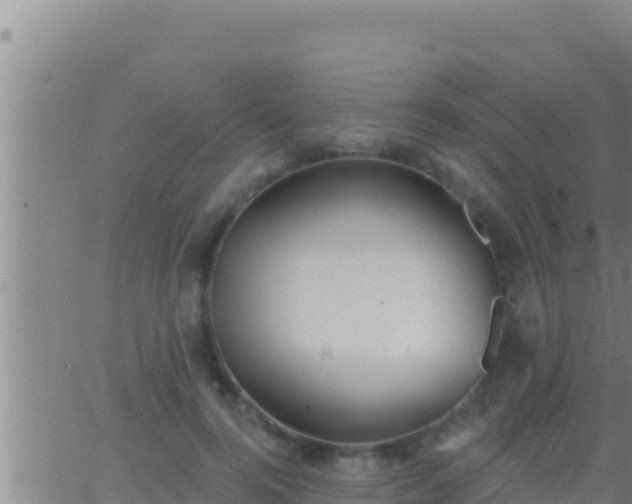 X0000062910744200601201936